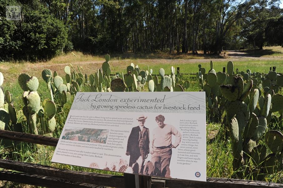 Jack London State Park